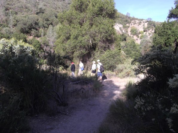2011_Pinnacles02