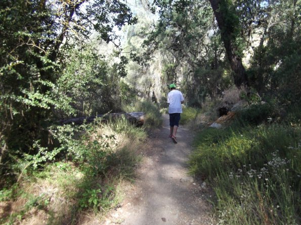 2011_Pinnacles05