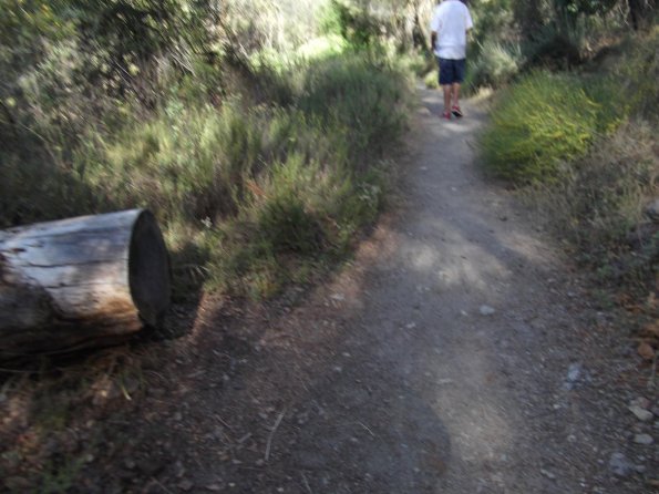 2011_Pinnacles06