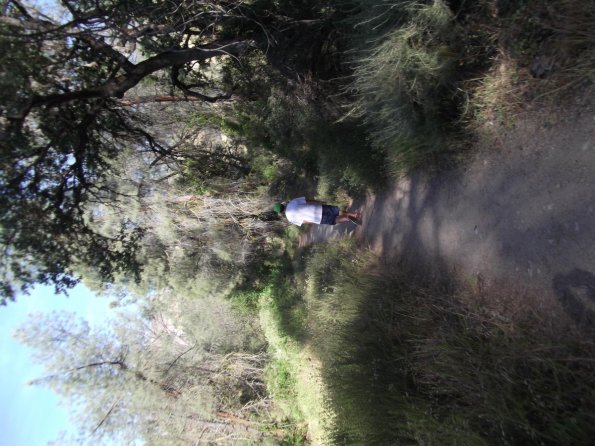 2011_Pinnacles07