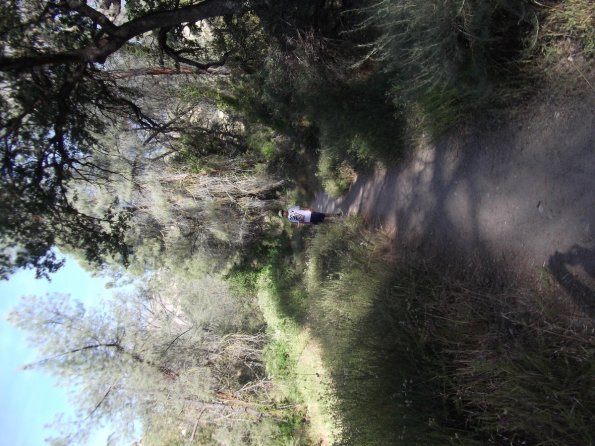2011_Pinnacles08