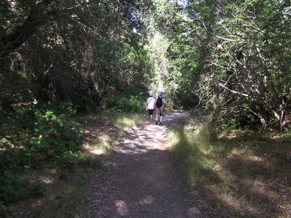 2011_Pinnacles09