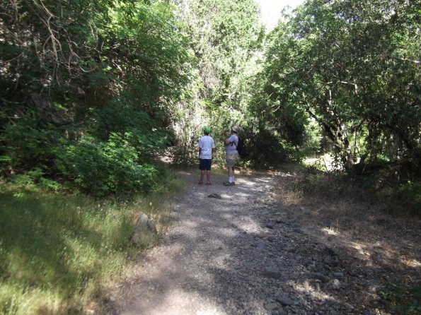 2011_Pinnacles10