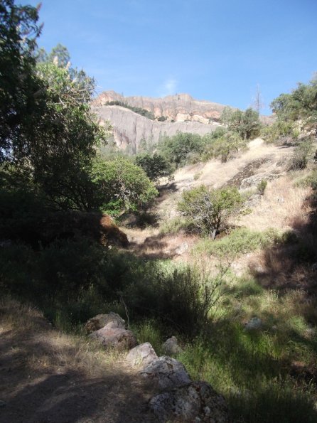 2011_Pinnacles18