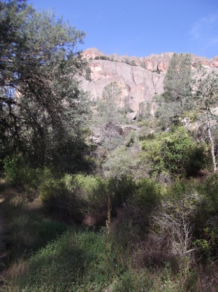 2011_Pinnacles19