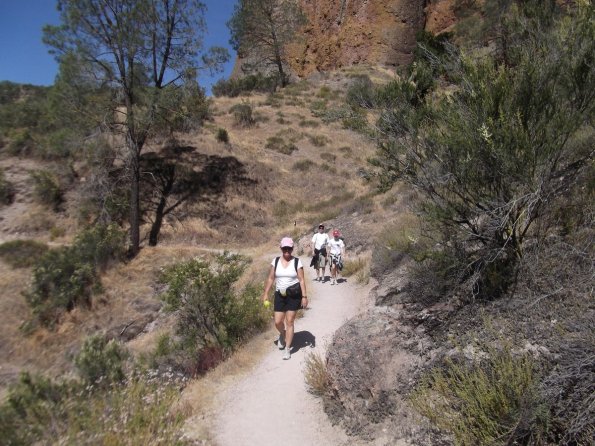 2011_Pinnacles40