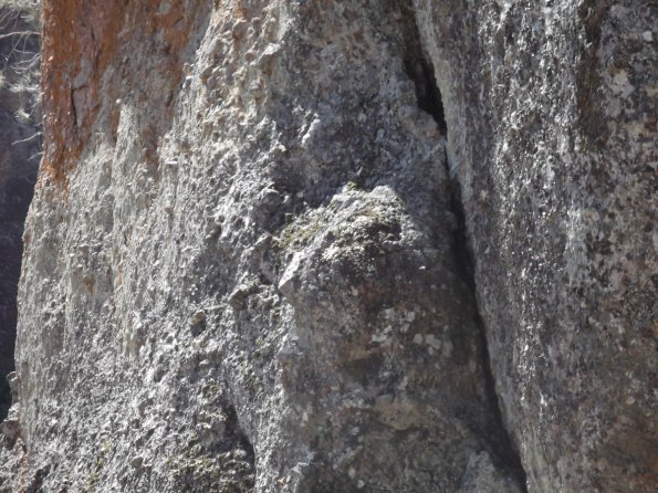 2011_Pinnacles41
