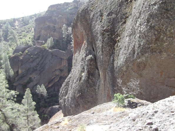 2011_Pinnacles42