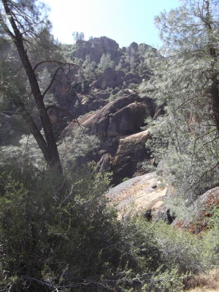 2011_Pinnacles43