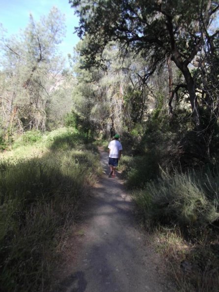 Camping_2011_Pinnacles07