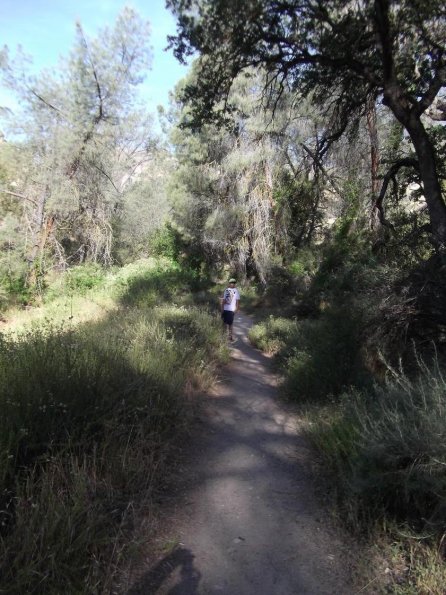 Camping_2011_Pinnacles08