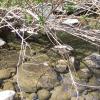200807_ColdCanyon_1086