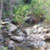 200807_ColdCanyon_1088