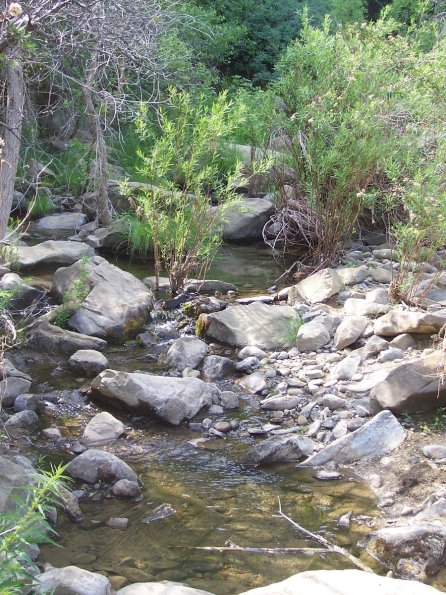 200807_ColdCanyon_1088