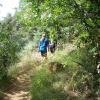 200807_ColdCanyon_1089