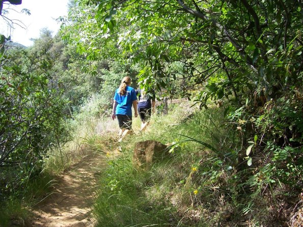 200807_ColdCanyon_1089