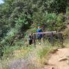 200807_ColdCanyon_1090