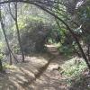200807_ColdCanyon_1091