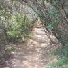 200807_ColdCanyon_1094