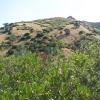 200807_ColdCanyon_1095
