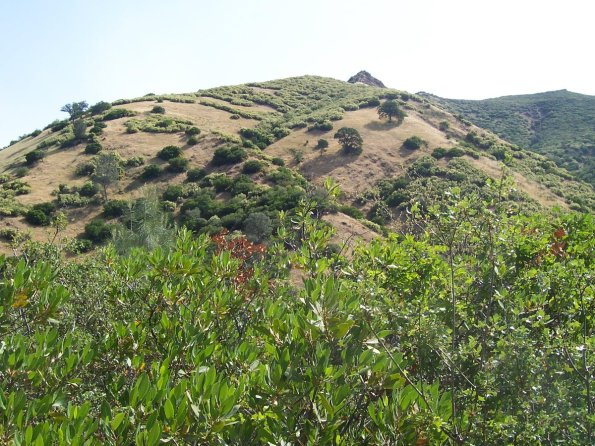 200807_ColdCanyon_1095