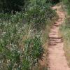 hiking