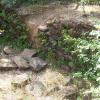 200807_ColdCanyon_1097