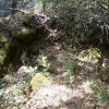 200807_ColdCanyon_1099