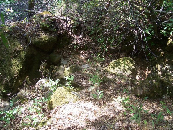 200807_ColdCanyon_1099