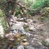 200807_ColdCanyon_1100