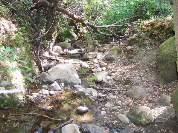 200807_ColdCanyon_1100