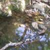 200807_ColdCanyon_1101