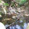 200807_ColdCanyon_1102