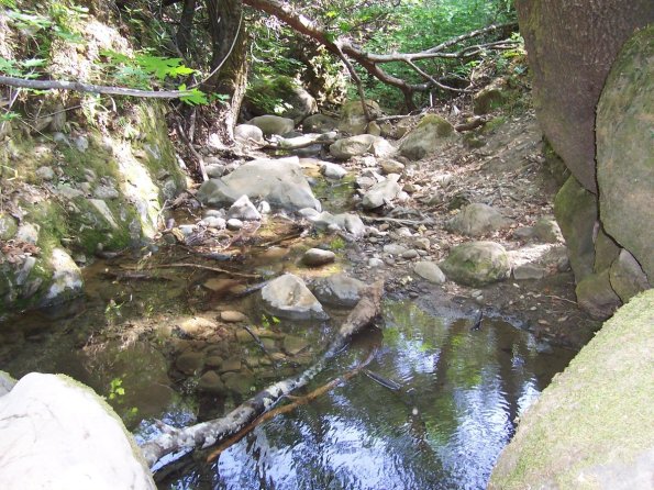 200807_ColdCanyon_1102