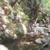 200807_ColdCanyon_1103