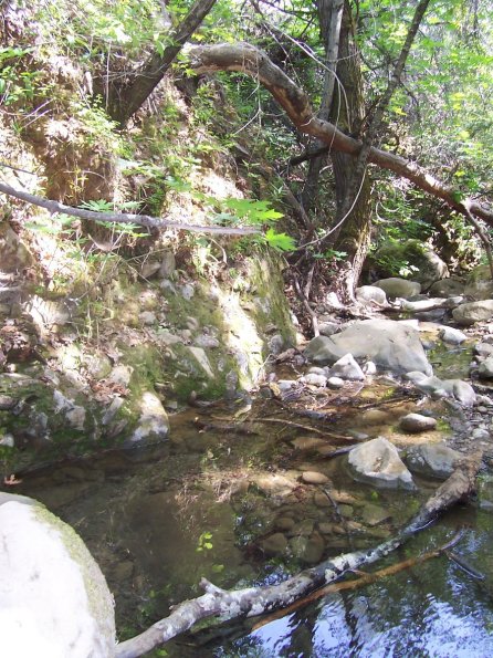 200807_ColdCanyon_1103